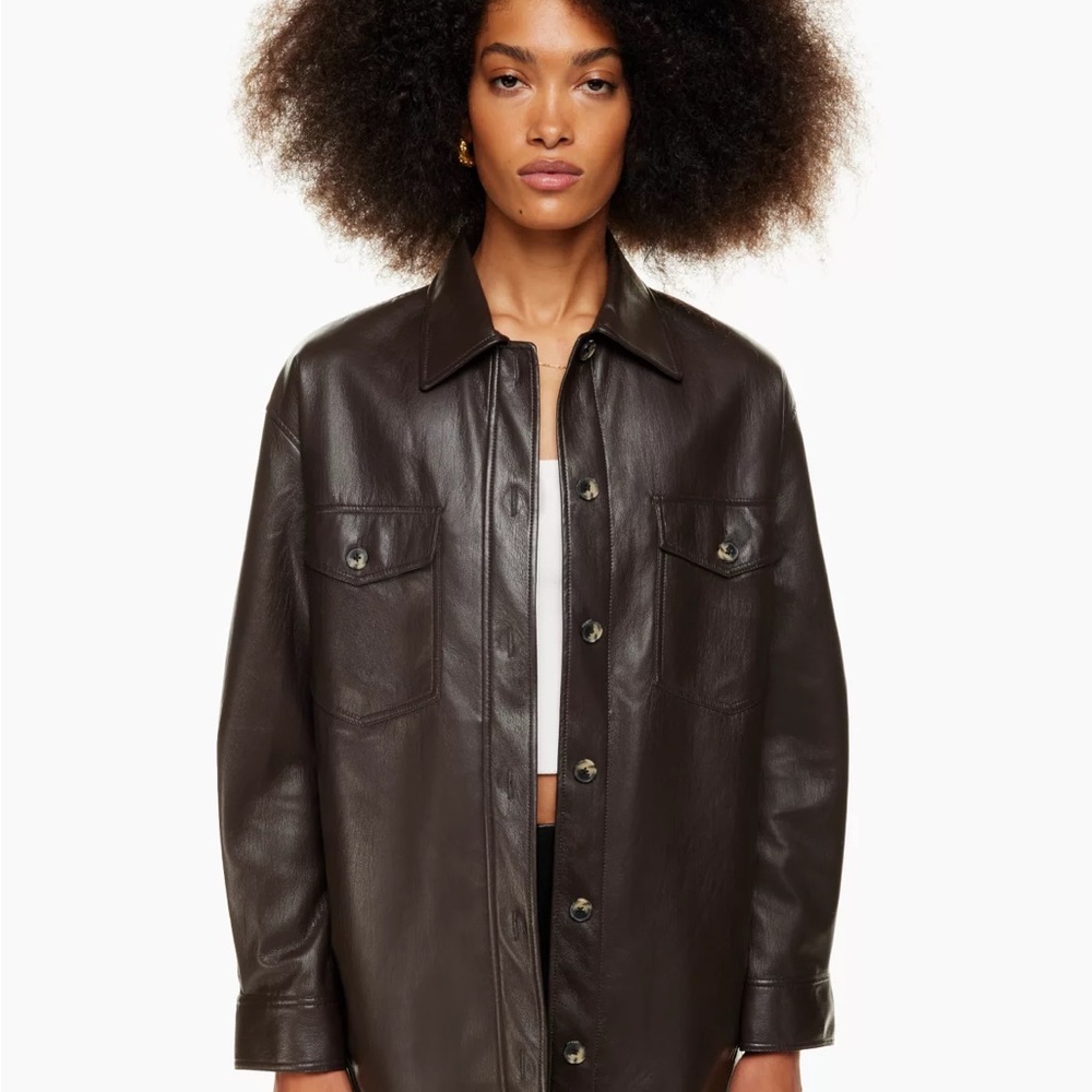 Aritzia Ganna Jacket